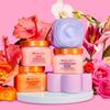 Tree Hut Body Scrub Peach Sorbet 510g