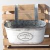 Hanging Flowers Succulents Plant Pots Iron Wall Mounted Indoor Outdoor Garden Decorations Metal Bucket Flowers Basket