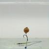 2025 Accessories Bait Drill Boillies Chod Hair Micro Bait Stopper Equipment Material Carp Fishing Lure Fishing Tackle