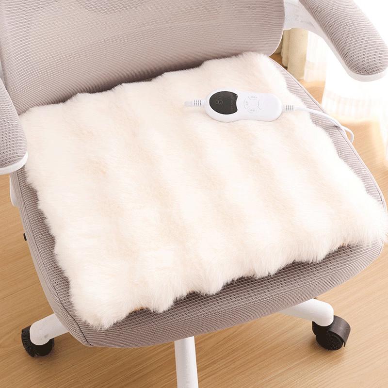 Electric Heated Wormwood Office Cushion