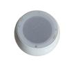 Tianlai TL-D53 Surface Mounted 20W Ceiling Speaker for Homes Without Suspended Ceilings