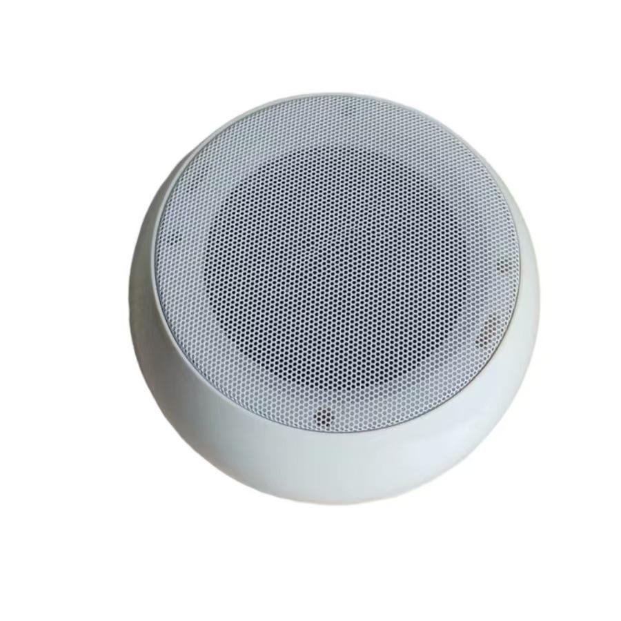 Tianlai TL-D53 Surface Mounted 20W Ceiling Speaker for Homes Without Suspended Ceilings