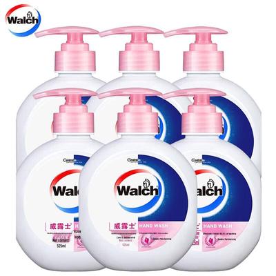 Walch Healthy Antibacterial Moisturizing Hand Soap