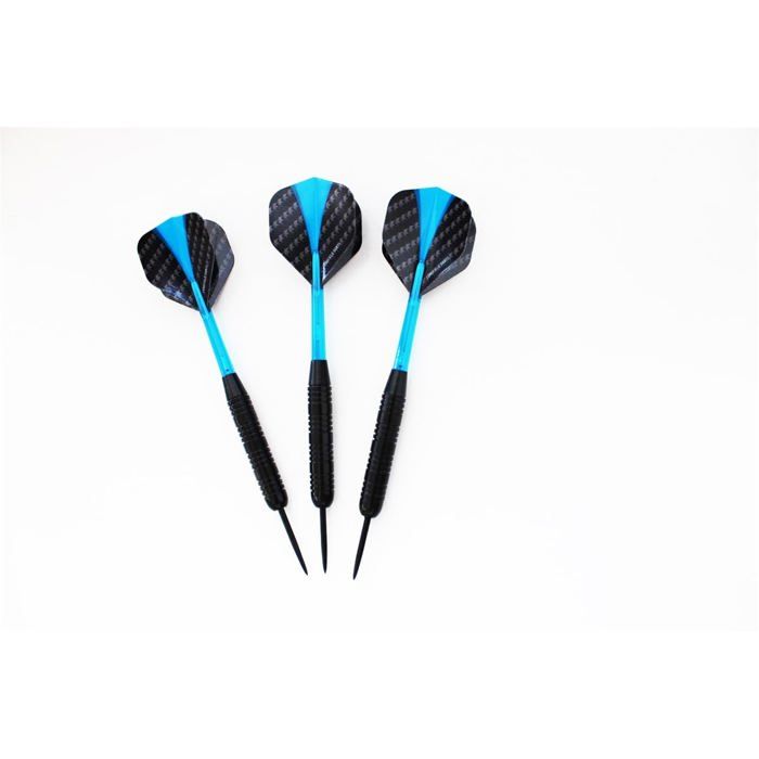 Jeux de fléchettes - ENGELHART - Longfield PRO 501 - Cible sisal - 6 fléchettes - Anneau de protection