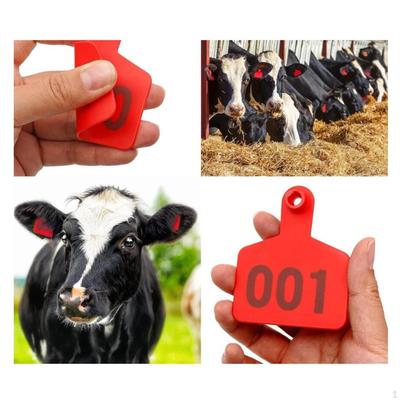 100x Sığır Kulak Küpesi Çiftlik Malzemeleri Hayvan Yönetimi için İnek Kimliği