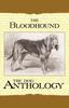 Bok The Bloodhound - A Dog Anthology (A Vintage Dog Books Breed Classic)
