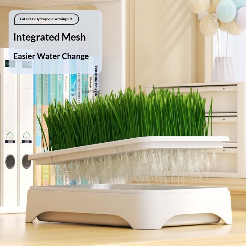 Vaso para Plantar Grama de Gato Vasinho para Cultivo Sem Solo Semente de Trigo Vaso para Gatinho Dispositivo Hidropônico para Grama Vaso de Plantio Hortícola