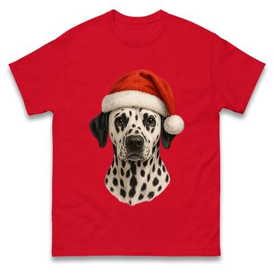 Hauts – T-shirts