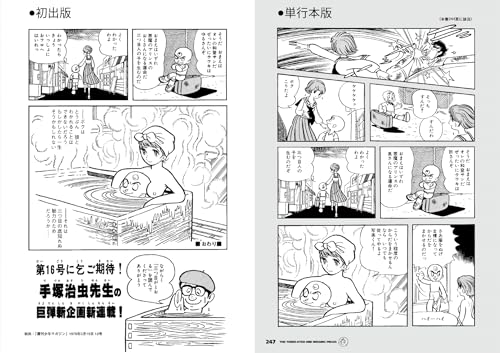 The Three-Eyed One: Missing Pieces (Rittosha)