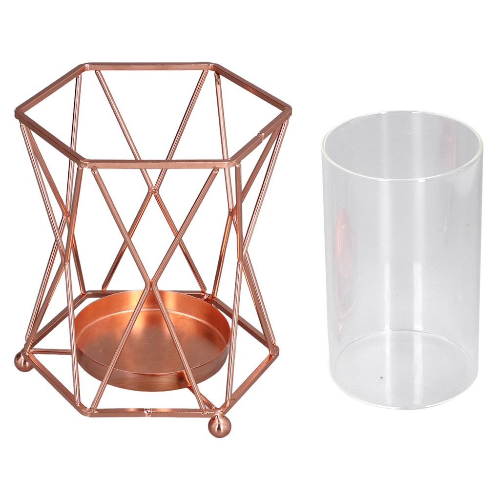 Plant Vase with Wrought Iron Flower Stand Transparent Glass Flower Pot Hydroponic Vase for Living