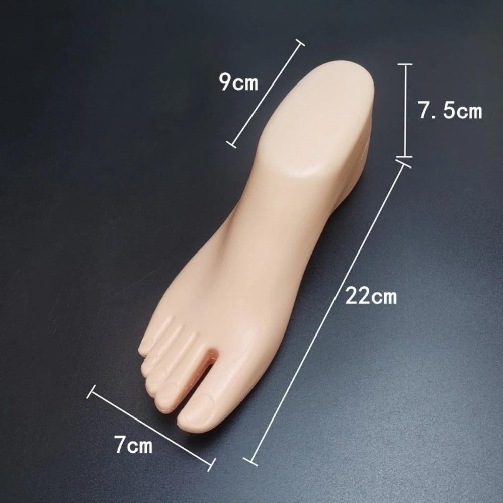 1Pair New Plastic Female Feet Thicken Hollow Mannequin Foot Model Bottom Shoe Support Sock Display Foot Ankle Chain Display