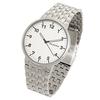Skagen SKW6200 Silver Watch [Parallel Import]