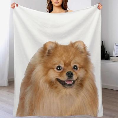 Pomeranian Throw Blanket Long Lasting Soft Plush Blanket for Daily Use