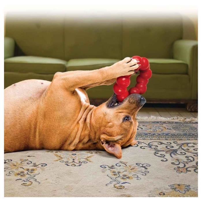 Jouet anneau ring - kong - s/m - caoutchouc - rouge - pour chien