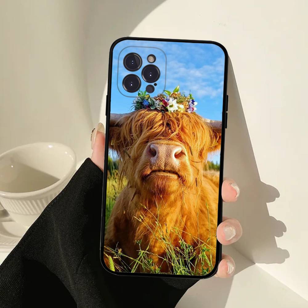 Lovely Animal Highland Cattle Phone Case For IPhone 16 15 14 13 12 Mini 11 Pro XS Max X XR SE 6 7 8 Plus Soft Silicone Cover