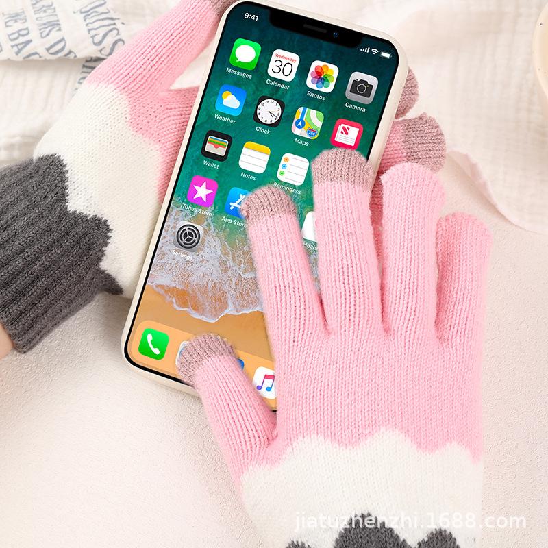 Double Layer Gloves Fleece Lined Thick Polar Fleece Jacquard Knit Warm Winter Riding Ski Gloves Women