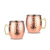 Leeseph Moscow Mule Mugs, Hammered Copper Cups with 304 Stainless Steel Lining, for Cold Drinks, Beer, Wine, Bars, Parties, Gift