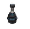 Ft17119 Fast Control Arm Pin /R Lower