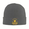 Chocobo Farm Final Fantasy Knitted Hat for Women Unisex Skullies Beanies Autumn Winter Hat Acrylic Video Game Hip Hop Melon Cap