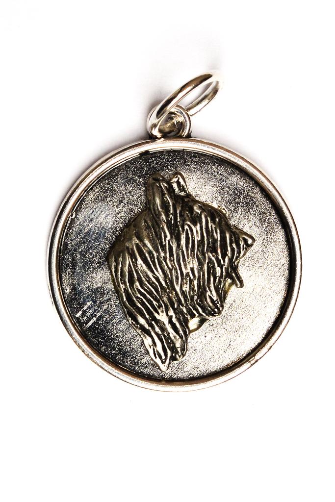 Briard, Berger de Brie – Necklace with a dog, pendant for a dog mom | Art-Dog