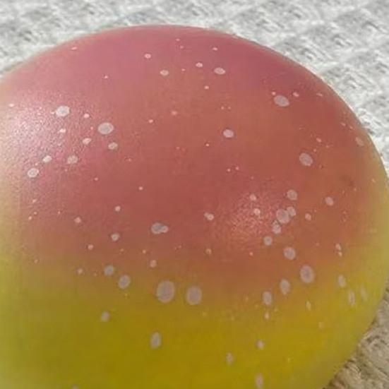 Bread Squeeze Toy Soft Slow Rebound Stress Ball Classic Original Matcha Flavors Realistic Cheesecake Shape Decompression Fidget for Kids
