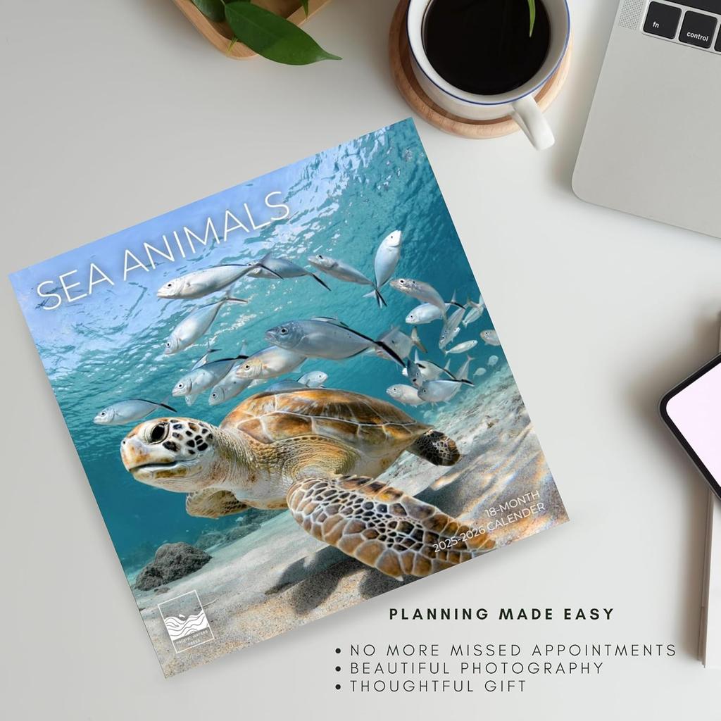 Sea Animals Wall Calendar | Sea Life Calendar | 12" x 24" Open | Giftable Calendar 2026 | Thick & Sturdy Paper for Organizing & Planning | Pacific