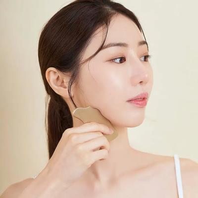 Premium Home Aesthetic Massager_[10 3ml Samples + Pouch Gift] Bangjja Organic Angel Gua Sha