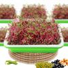 Seedling Trays Germination Box Kit Transparent Cover Nursery Seedling Greenhouse Indoor Garden Growth Pots Spray Bottle Humidity