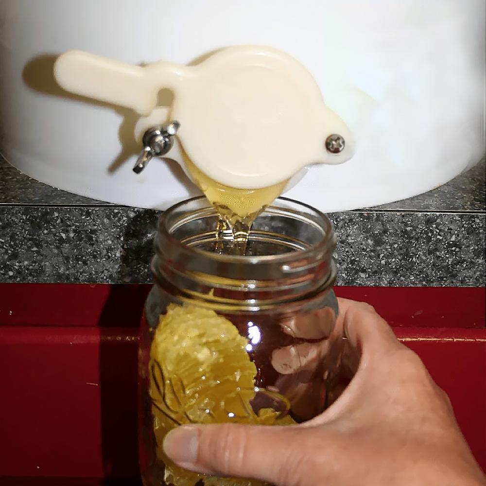 Bee Honey Tap Valve Extractor: Plastic Honey Flow Outlet Separator Beekeeping Tool