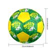 Club Leon Indoor Soccer Ball Colorful All Ages Size 5 Machine Stitched PVC Competition Ready Durable High-Bounce