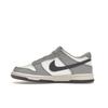 Nike Dunk Low GS Platinum Tint Light Carbon Kids Sneakers White Pure-Platinum FB9109-101