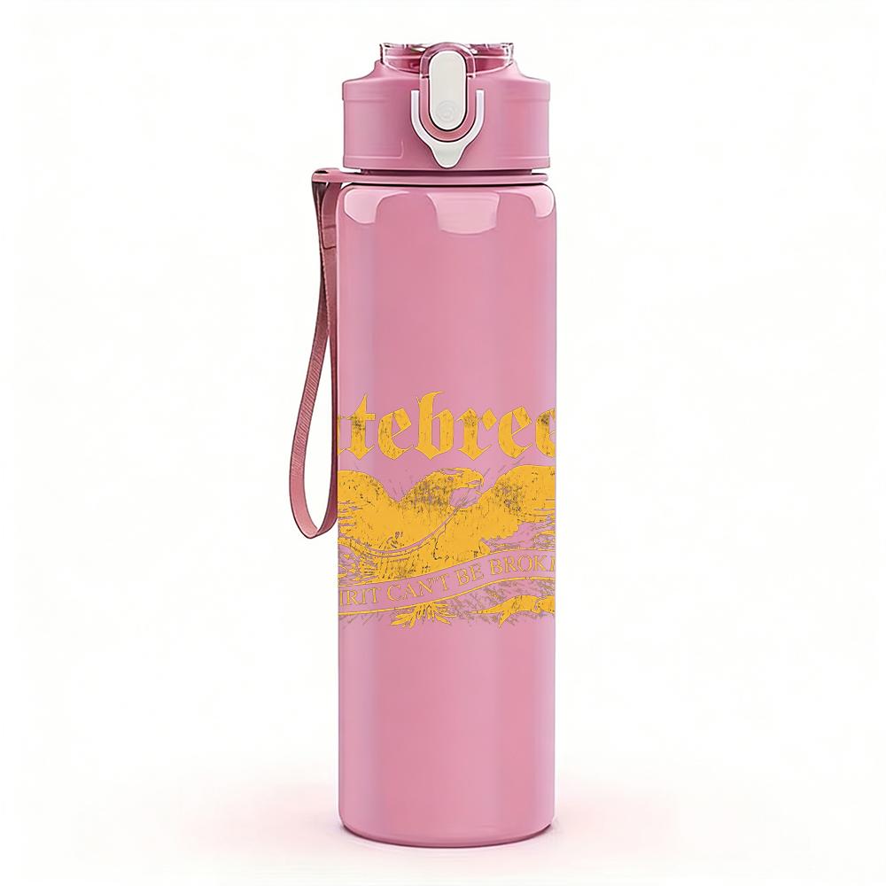 PC Multi Male Band Color Collage Print 750ml colorful plastic sports water bottle leakproof pop up lid with straw for outdoor work home use