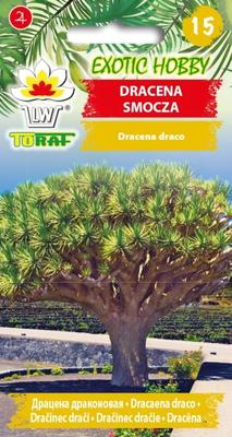 Dracaena semena 5 ks. květiny do zahrady
