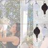 Convenient 21*8cm Size Extendable Plant Pulley For Easy Hanging