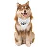 Pet Bib, Print  Dog Scarf, Pet  Bib Pet Costume Scarf