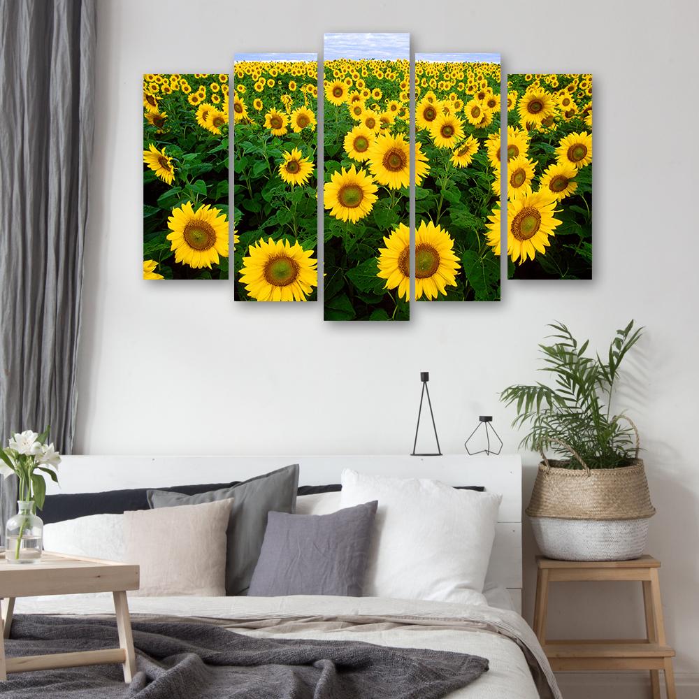 Five Piece Picture Canvas Print Sunflowers Meadow
