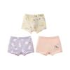 Kinder-Baumwoll-Tencel-Antibakterielle Slips - 3D-Design