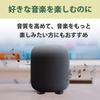 Felimoa Speaker Carbon Vibration Set of 4 Insulators, Fiber, Damping,