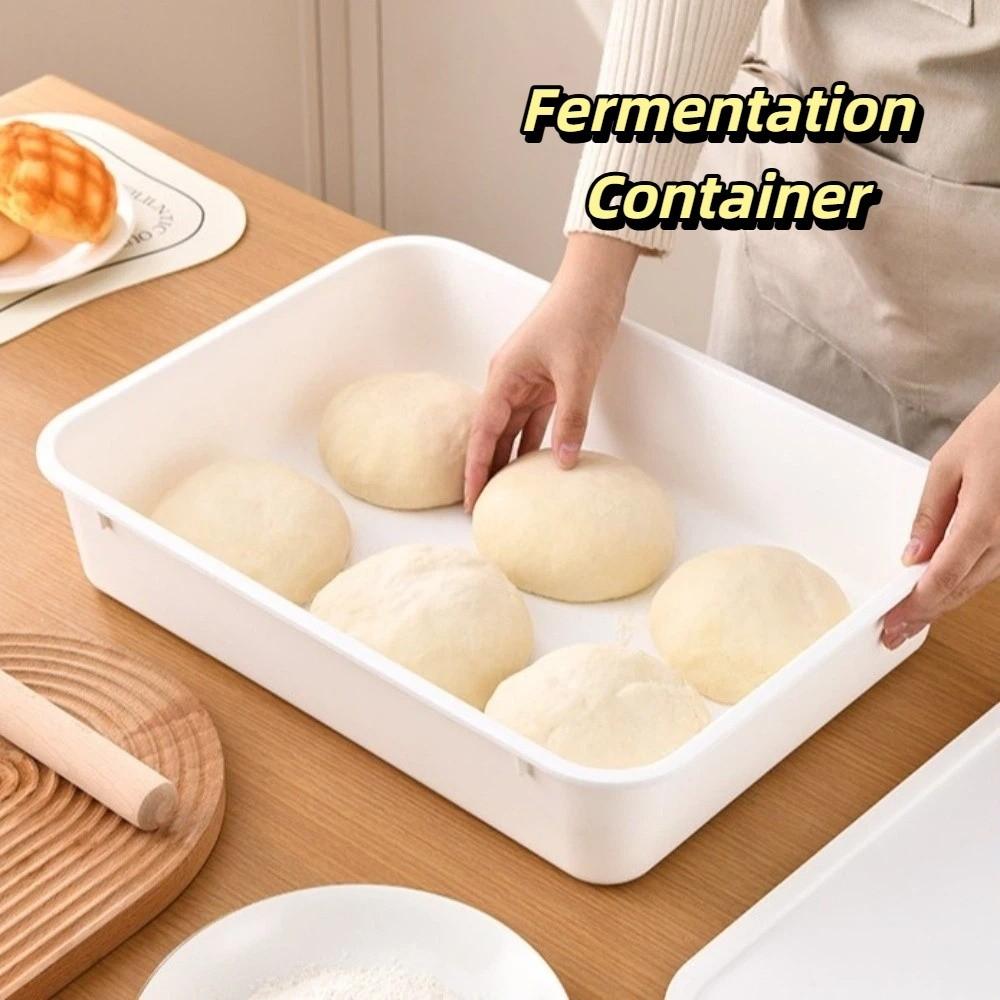 1/2 Pieces with Cover Dough Proofing Box Air Tight Pizza Dough Box  Baking Enthusiasts