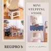 RegiProb Simple Mini Step Stool, Foldable, Compact, 22.5cm Tall, Black