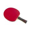 Butterfly TAMASU Table Tennis Racket TB5 Alpha + Slayver EL 16970