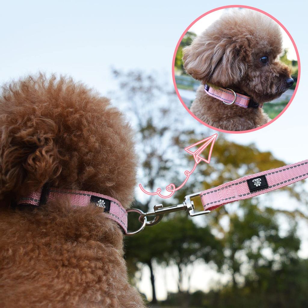 NESTROAD Dog Collar and Lead Night For Medium and Large Suitable for All Comes with For Walking and Easy to Dog Set, Adjustable, Reflective, Small,
