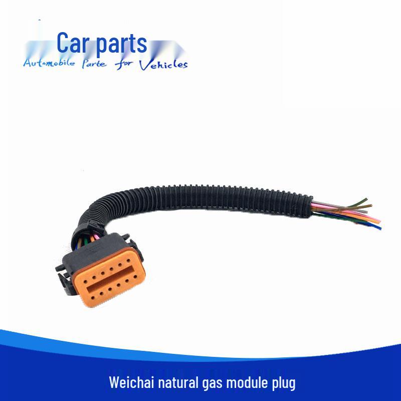 Weichai Auman GTL Shaanxi Delong Разъем модуля зажигания на природном газе Vehicle aspect