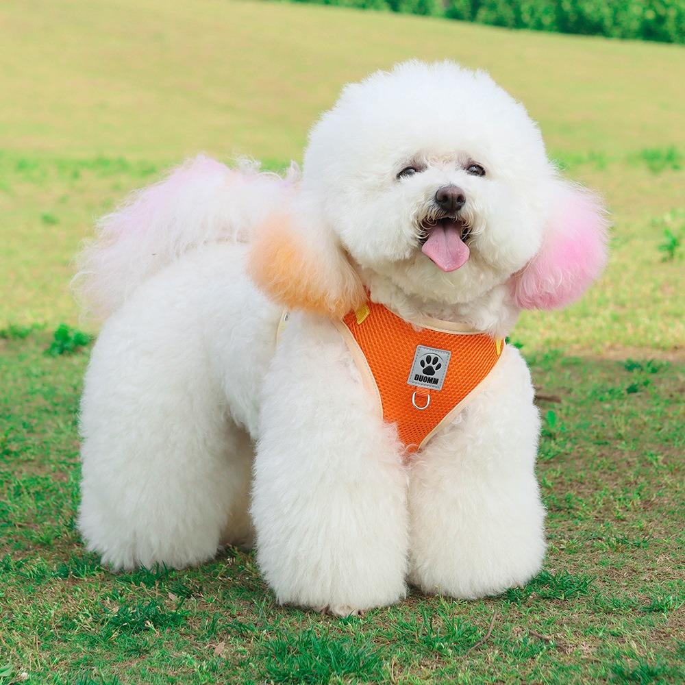 

Pet chest back breathable and comfortable color matching cat chest back traction walking dog dog lead puppy vest type XL оранжевый