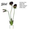 Rustproof Garden Stake Metal Carnivorous Plant 25-Inch Large Venus Flytrap Eye-catching Yard Art Flower Sculpture for Outdoor