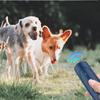 Dog Repellent Portable Outdoor Dog Bite Prevention High-power Training Anti-barking Ultrasonic Electronic Dogs Accessories