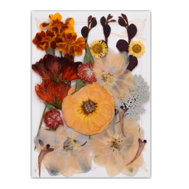 Natural Pressed Dried Flower For Epoxy Resin Dry Flowers and Leaves Set for Soap Candle Jewelry Making Scrapbooking
