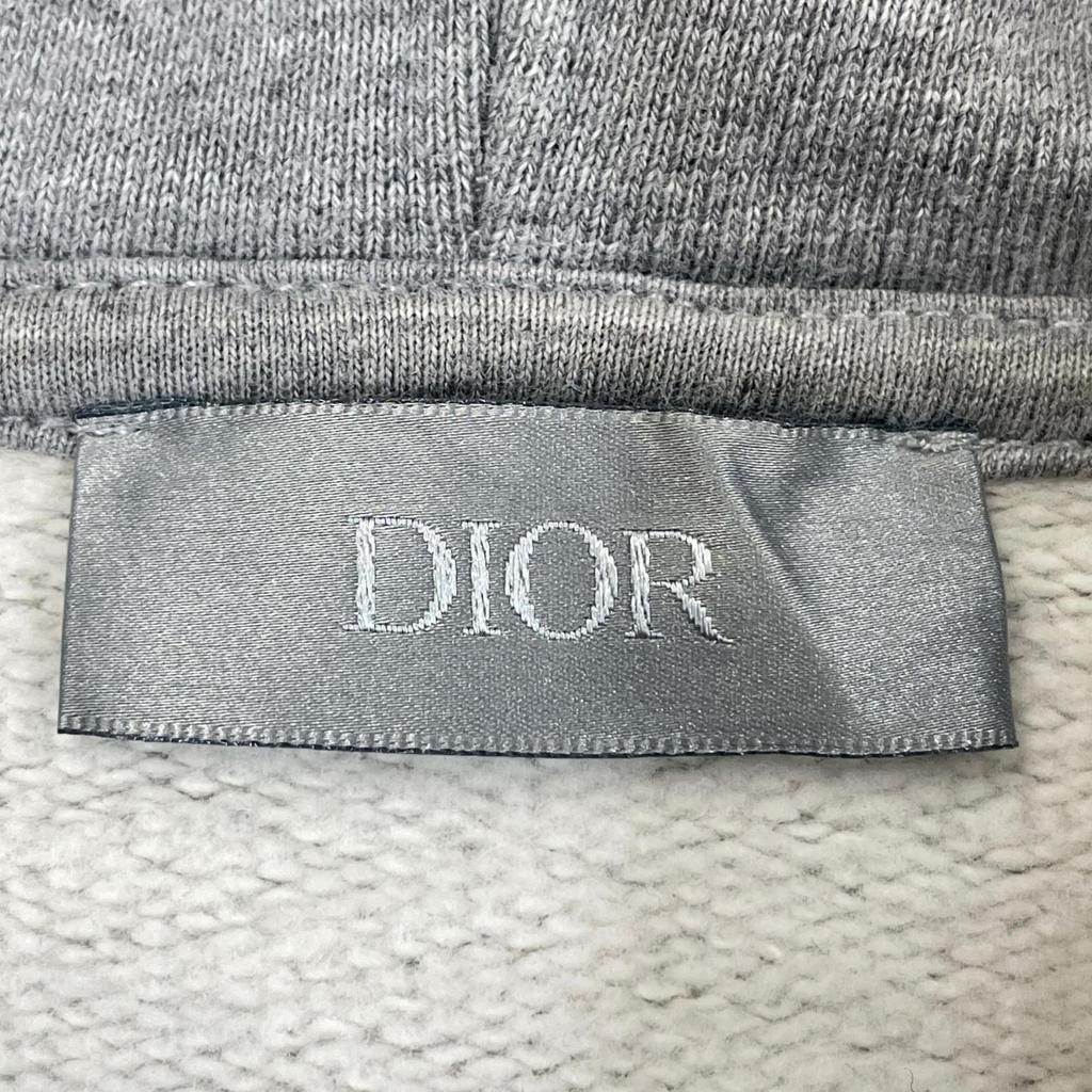 Dior XS MENS CD Icon Hoodie gray Model K4311