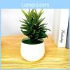 Artificial Small Greenery Bonsai With Plastic Craft For Living Room Gift And