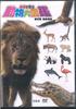 DVD DVD - A Visual Guide To Animals NONE TAKARAJIMA Taiwan Movies & DVD Used